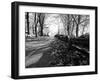 Road with Leaves on Ground-Sharon Wish-Framed Photographic Print