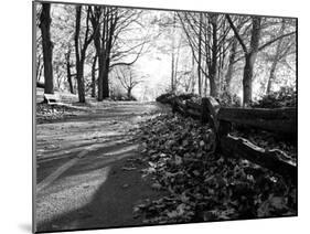 Road with Leaves on Ground-Sharon Wish-Mounted Photographic Print