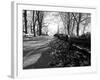 Road with Leaves on Ground-Sharon Wish-Framed Photographic Print