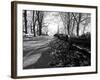 Road with Leaves on Ground-Sharon Wish-Framed Photographic Print