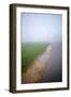 Road Wth Fog-David Baker-Framed Photographic Print