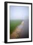 Road Wth Fog-David Baker-Framed Photographic Print