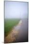 Road Wth Fog-David Baker-Mounted Photographic Print