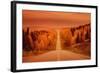 Road-null-Framed Photographic Print