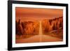 Road-null-Framed Photographic Print