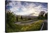 Road-Sebastien Lory-Stretched Canvas