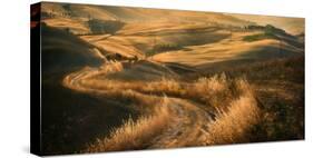 Road...-Krzysztof Browko-Stretched Canvas