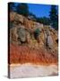 Roadcut Exposing Geologic Strata-Mark E. Gibson-Stretched Canvas