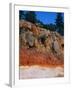 Roadcut Exposing Geologic Strata-Mark E. Gibson-Framed Photographic Print