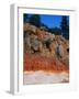 Roadcut Exposing Geologic Strata-Mark E. Gibson-Framed Photographic Print