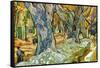 Roadman by Van Gogh-Vincent van Gogh-Framed Stretched Canvas