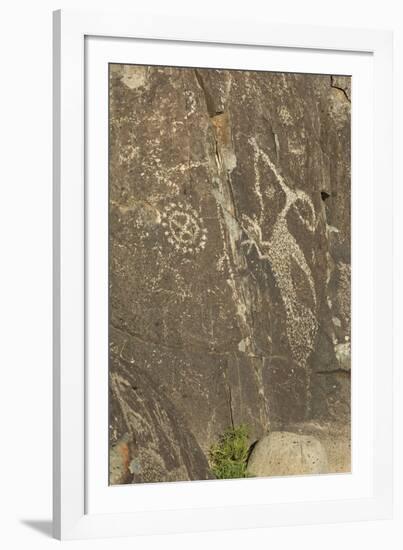 Roadrunner with a Snake and Other Jornada-Mogollon Petroglyphs at Three Rivers Site, New Mexico-null-Framed Photographic Print