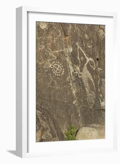 Roadrunner with a Snake and Other Jornada-Mogollon Petroglyphs at Three Rivers Site, New Mexico-null-Framed Photographic Print