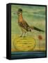 Roadrunner-Leah Saulnier-Framed Stretched Canvas