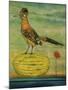 Roadrunner-Leah Saulnier-Mounted Giclee Print