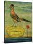 Roadrunner-Leah Saulnier-Stretched Canvas