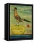 Roadrunner-Leah Saulnier-Framed Stretched Canvas