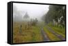 Roads Less Travelled-Incredi-Framed Stretched Canvas