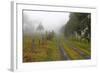 Roads Less Travelled-Incredi-Framed Giclee Print