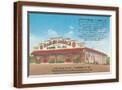 Brown Frame