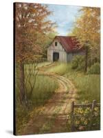 Roadside Barn-Lene Alston Casey-Stretched Canvas