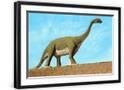Chelsea Black