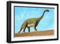 Black Frame