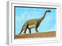 White Frame