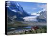 Roadside Building Dwarfed by the Athabasca Glacier in the Jasper National Park, Alberta, Canada-Tovy Adina-Stretched Canvas