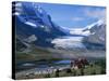 Roadside Building Dwarfed by the Athabasca Glacier in the Jasper National Park, Alberta, Canada-Tovy Adina-Stretched Canvas