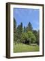 Roadside calvaries at the edge of the forest-Klaus Scholz-Framed Photographic Print