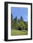 Roadside calvaries at the edge of the forest-Klaus Scholz-Framed Photographic Print