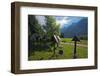 Roadside calvaries at the edge of the forest-Klaus Scholz-Framed Photographic Print