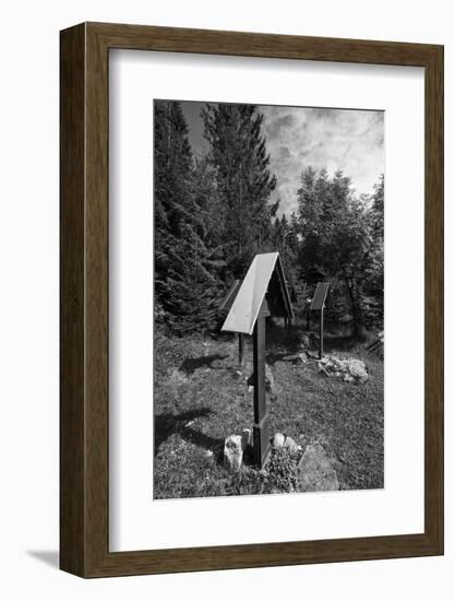 Roadside calvaries at the edge of the forest-Klaus Scholz-Framed Photographic Print