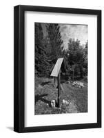 Roadside calvaries at the edge of the forest-Klaus Scholz-Framed Photographic Print