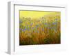 Roadside Chickory-John Newcomb-Framed Giclee Print