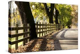 Roadside Fence-Lance Kuehne-Stretched Canvas