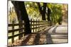 Roadside Fence-Lance Kuehne-Mounted Photographic Print