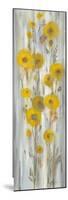Roadside Flowers II-Silvia Vassileva-Mounted Premium Giclee Print