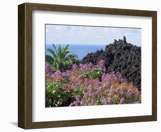 Roadside Flowers, La Palma, Canary Islands, Spain-Jean Brooks-Framed Photographic Print