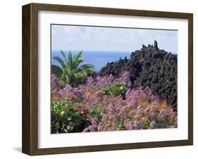 Roadside Flowers, La Palma, Canary Islands, Spain-Jean Brooks-Framed Photographic Print