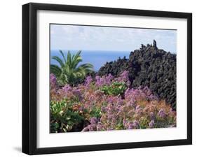 Roadside Flowers, La Palma, Canary Islands, Spain-Jean Brooks-Framed Photographic Print