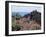 Roadside Flowers, La Palma, Canary Islands, Spain-Jean Brooks-Framed Photographic Print