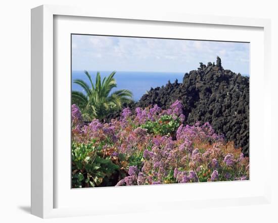 Roadside Flowers, La Palma, Canary Islands, Spain-Jean Brooks-Framed Photographic Print