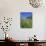 Roadside Flowers, Near Lerne, Val De Loire, Centre, France-Renner Geoff-Photographic Print displayed on a wall