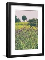 Roadside Flowers-Aledanda-Framed Photographic Print