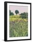 Roadside Flowers-Aledanda-Framed Photographic Print