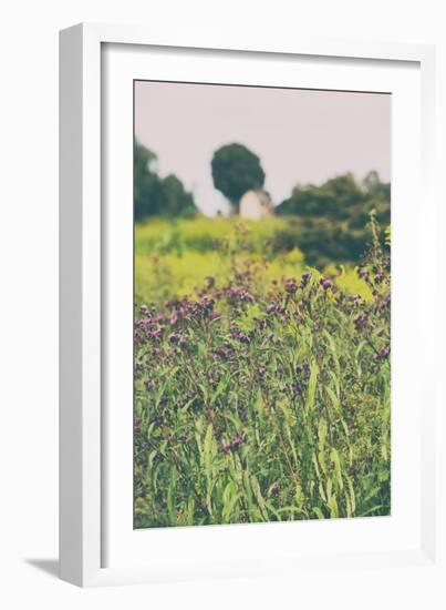 Roadside Flowers-Aledanda-Framed Photographic Print