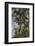 Roadside Hawk-Joe McDonald-Framed Photographic Print