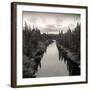 Roadside Labrador-Andrew Ren-Framed Art Print